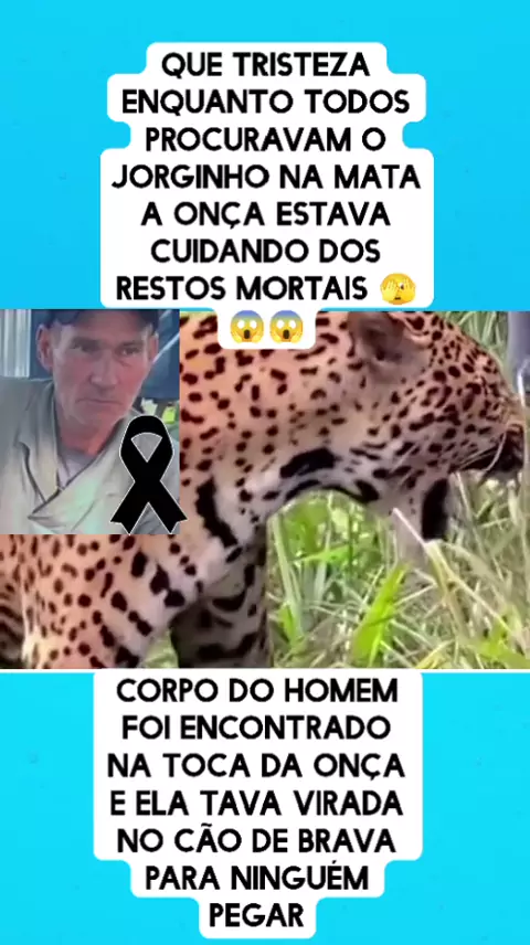 oxleaks sophie rain | Discover